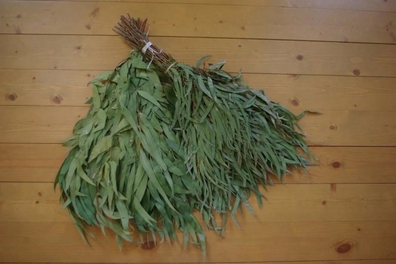 Веник из эвкалипта